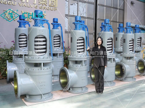 J9直营集团为华能热电项目交付一批高温高压安全阀Delivered a Batch of Safety Valves for China Huaneng Thermal Power Project